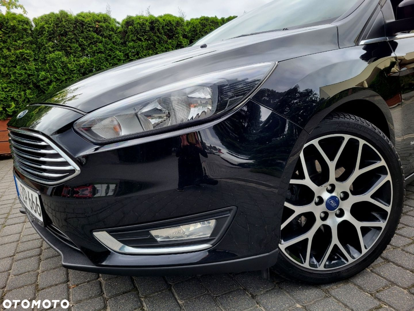 Ford Focus - 25