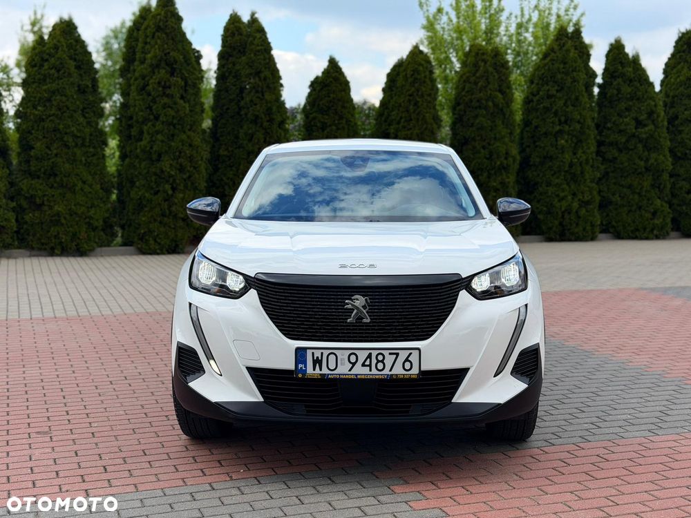 Peugeot 2008 BlueHDi 110 Active - 2