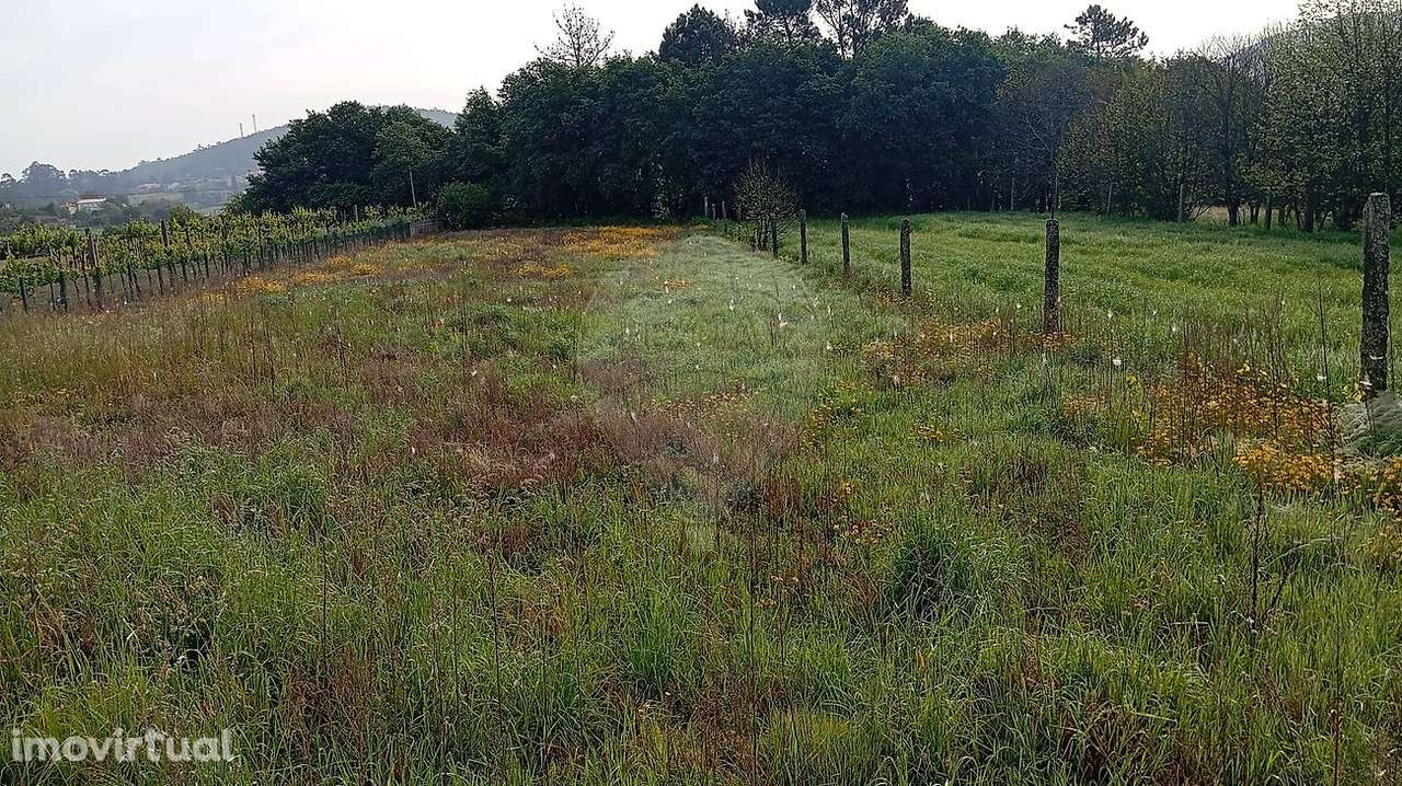 Terreno  para venda - Grande imagem: 5/5