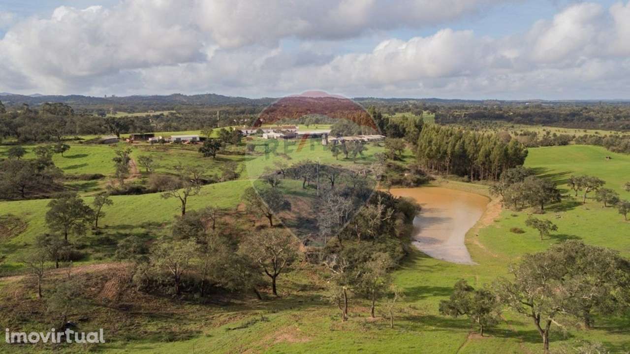 Quinta T3 para venda - Grande imagem: 2/31