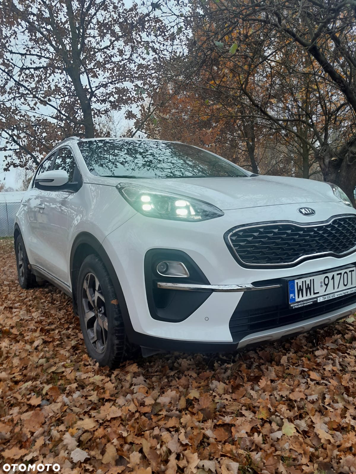 Kia Sportage 1.6 T-GDI L Business Line Plus 2WD DCT - 16