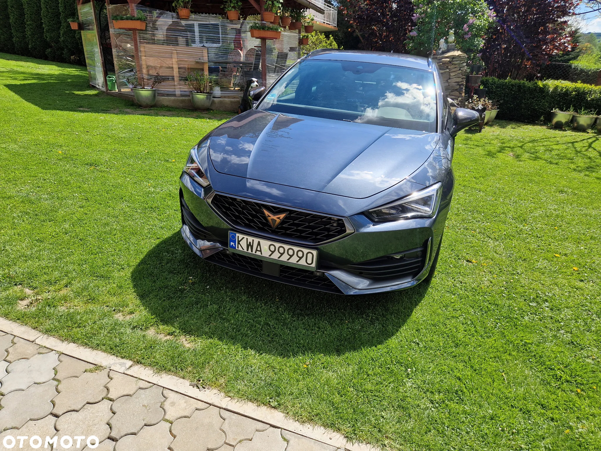 Cupra Leon 2.0 TSI DSG - 2