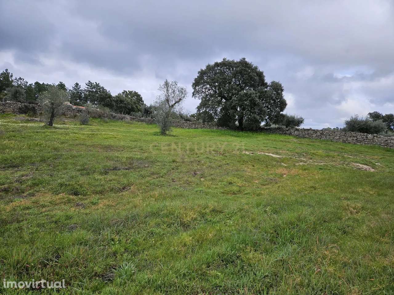 Quintinha na Lousa, Castelo Branco - Grande imagem: 3/41