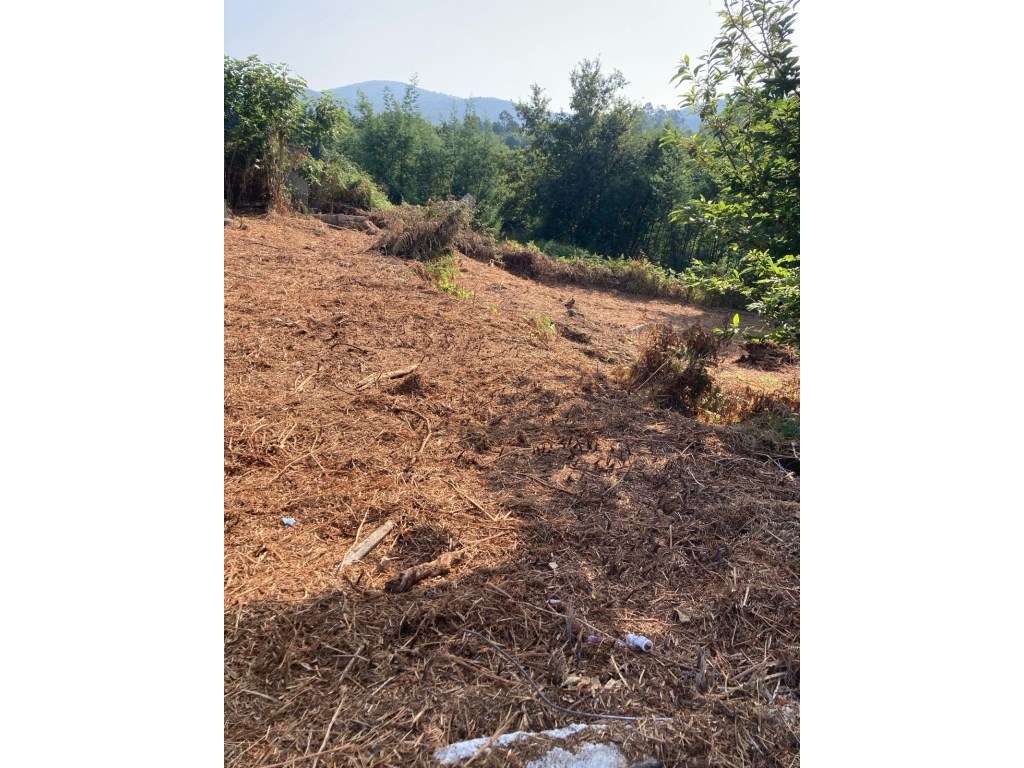 Moradia para Recuperar | Brandara, Ponte de Lima - Grande imagem: 2/5