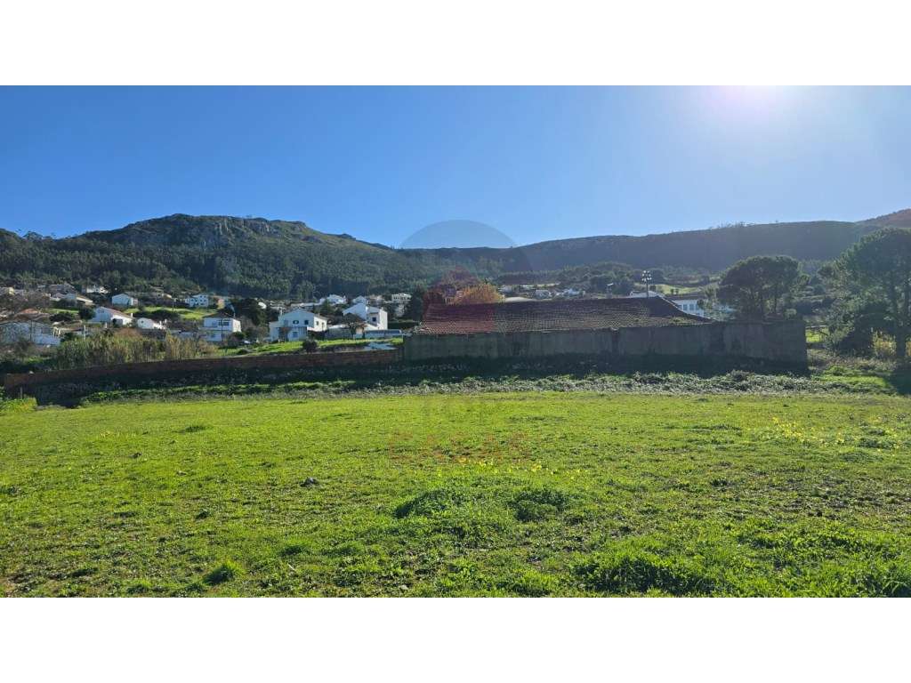 Terreno Exclusivo de 12.000 m² na Serra de Montejunto - Onde a Natu... - Grande imagem: 3/20
