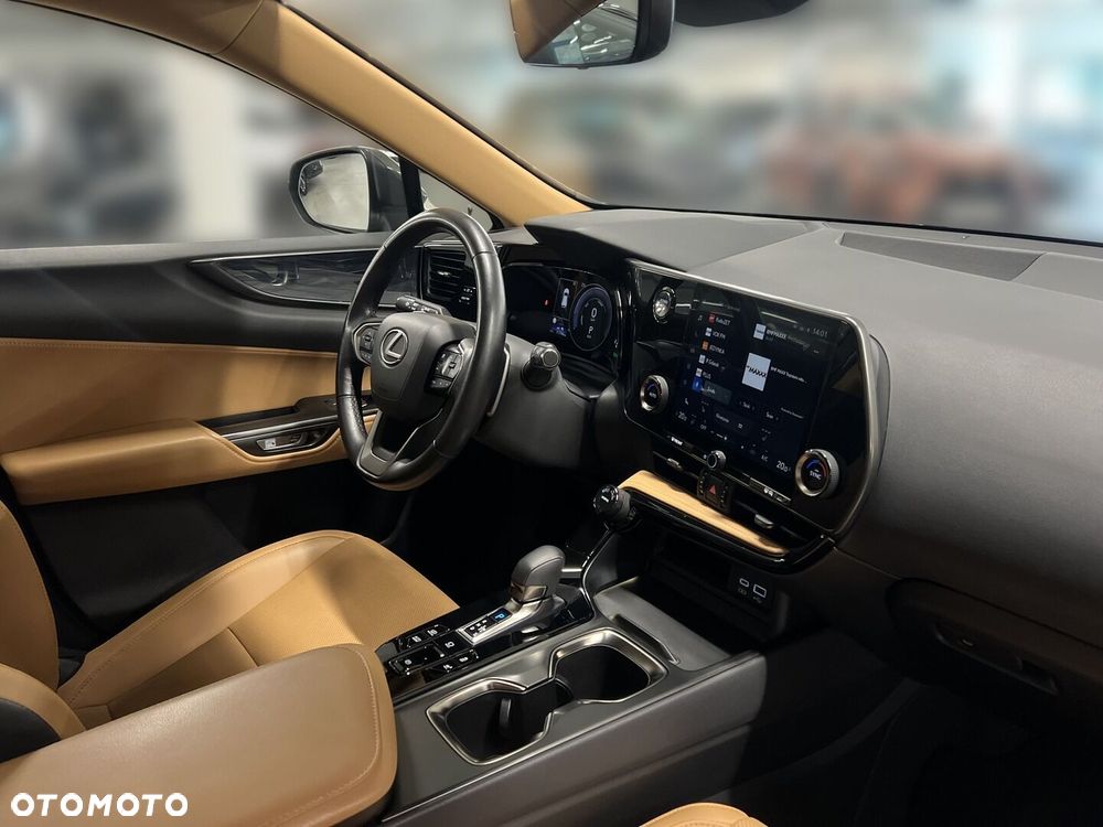 Lexus NX - 18