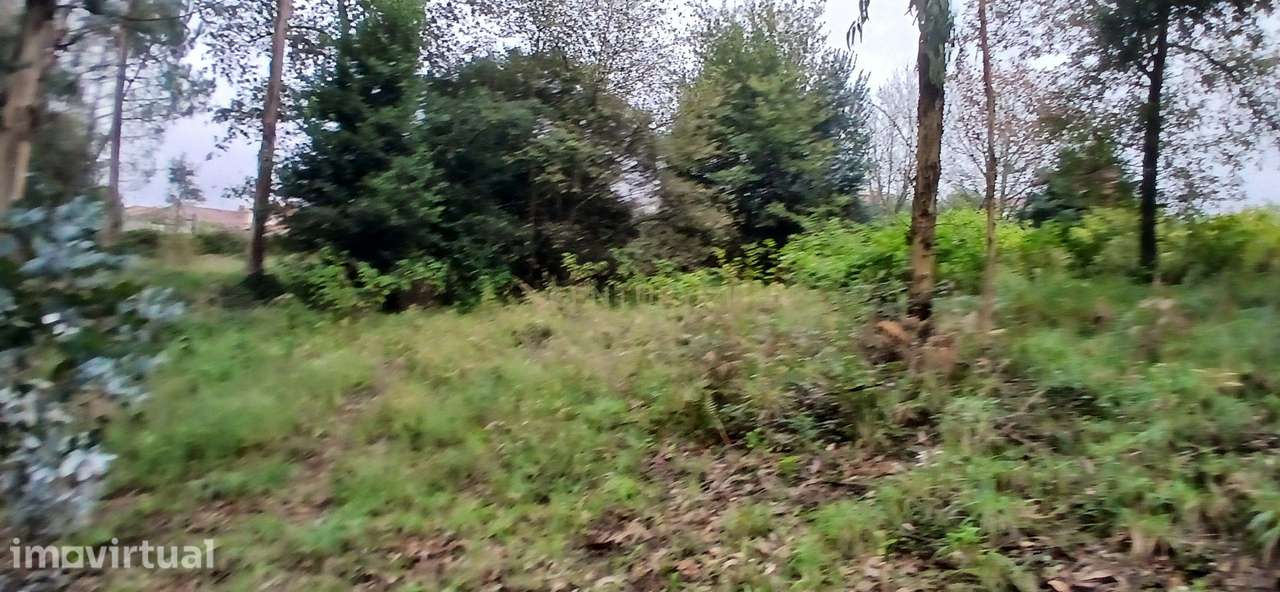 Terreno Rustico para Venda - Carvalhal - Barcelos - Grande imagem: 4/15