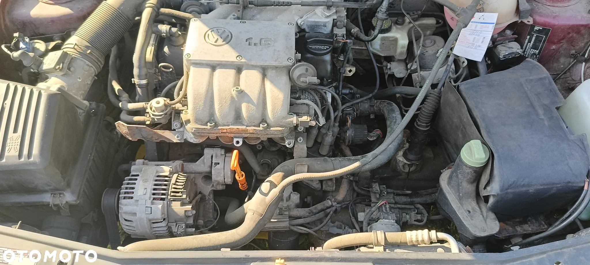 Volkswagen Golf - 9
