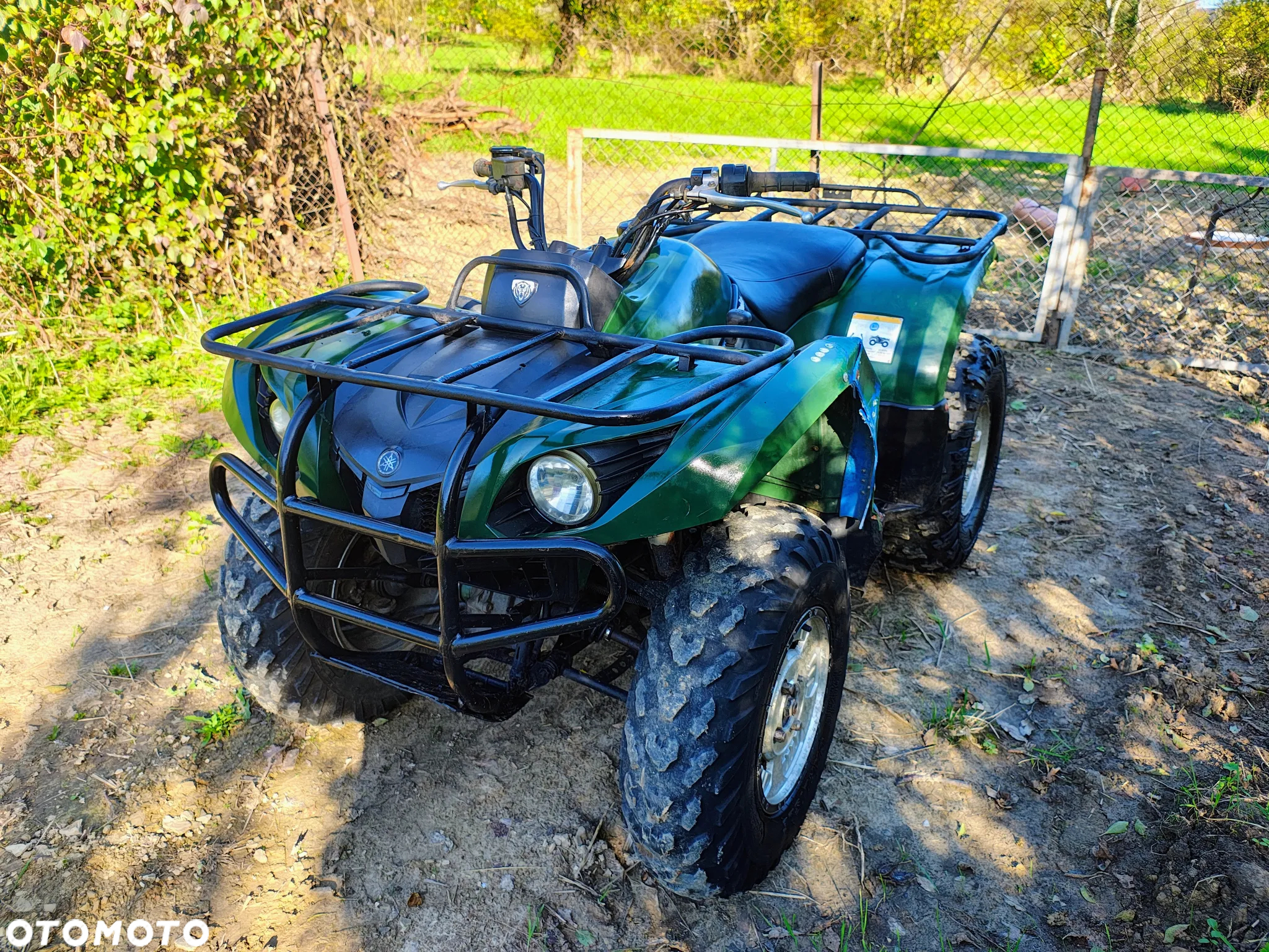 Yamaha Grizzly - 7