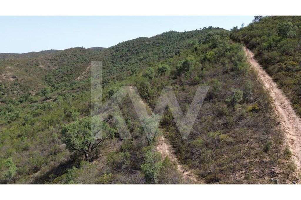 Terreno rústico com 5,7ha próximo de São Marcos da Serra - Grande imagem: 3/26