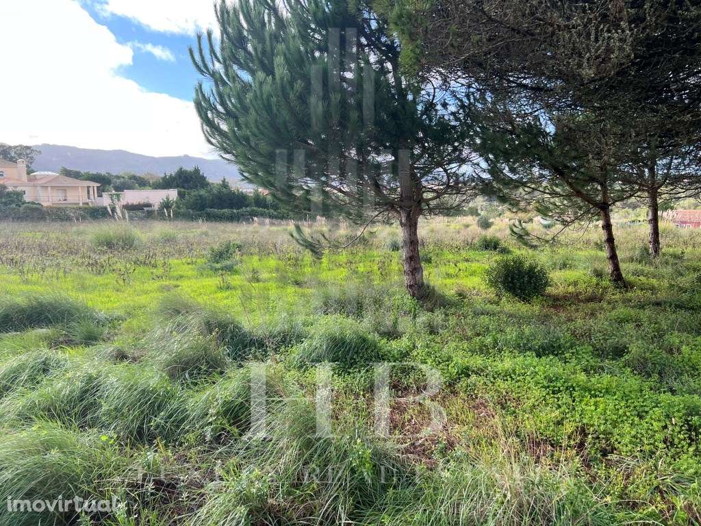 Lote Construção 5002M2| Casal da Granja |Sintra - Grande imagem: 2/45