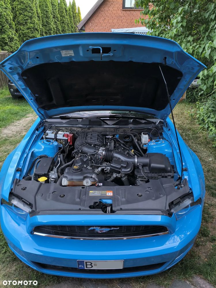 Ford Mustang - 6