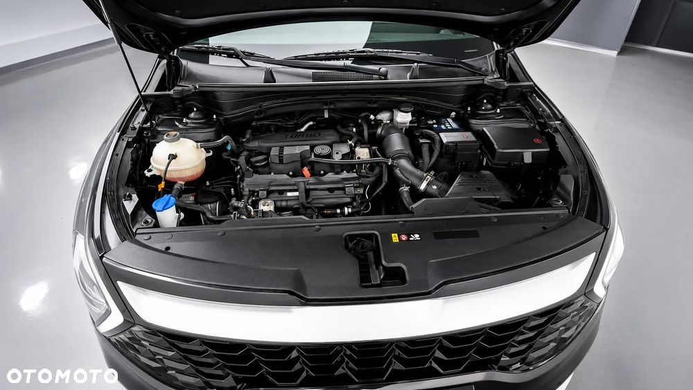 Kia Sportage - 6