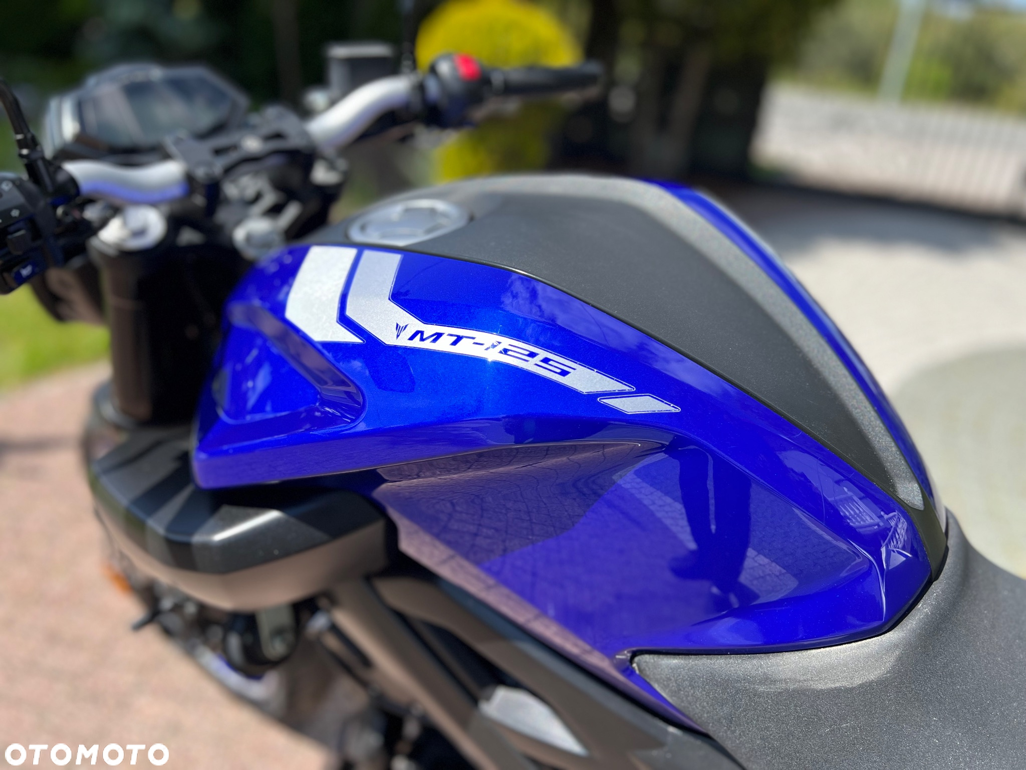 Yamaha MT - 31