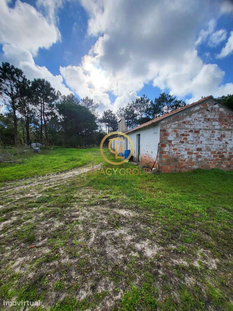 Terreno Industrial para investimento em Sines - Grande imagem: 5/18
