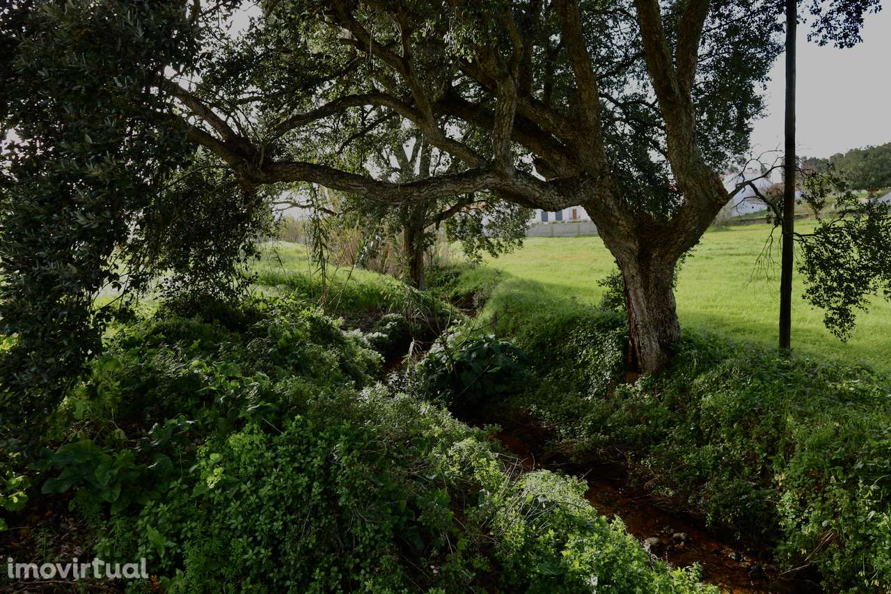 Terreno urbano com grande potencial em Foros de Salvaterra – 7.208 m² - Grande imagem: 5/7