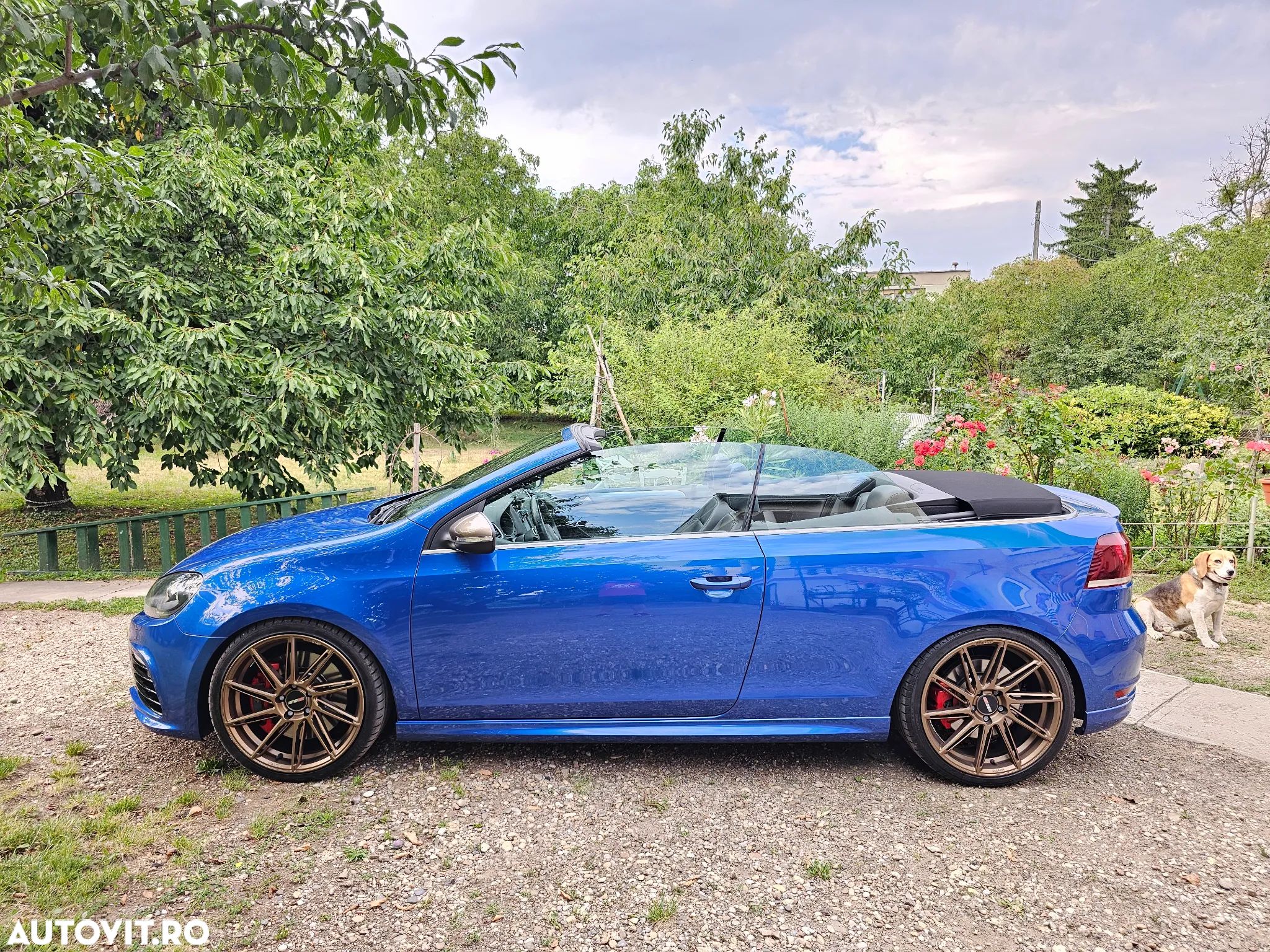 Volkswagen Golf - 1