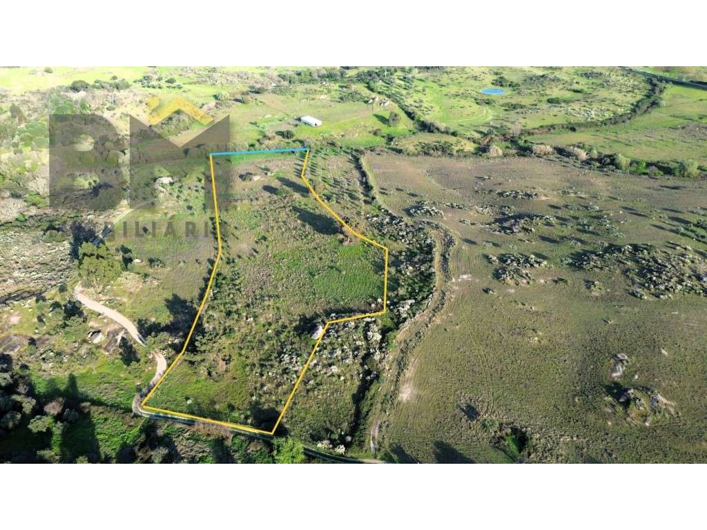 Terreno rústico à venda em São Miguel de Acha! - Grande imagem: 3/15