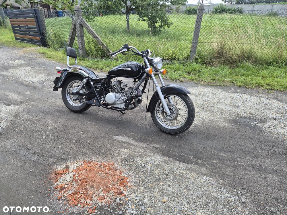 Honda Shadow - 4