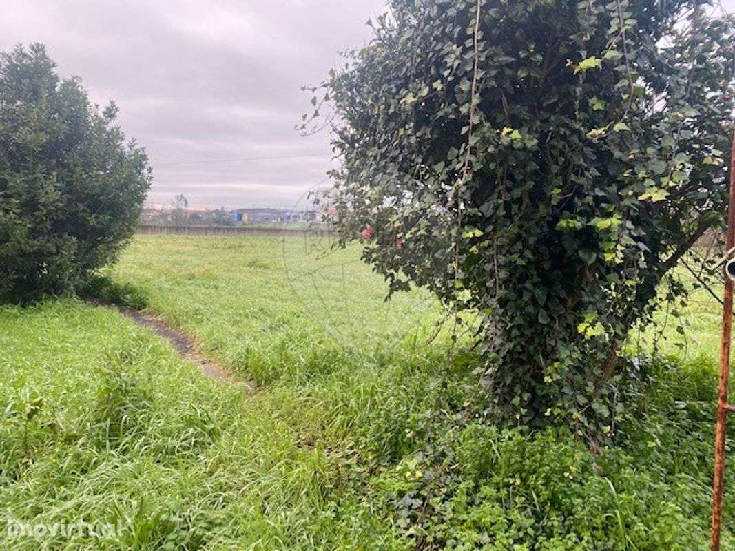 Terreno  para venda - Grande imagem: 3/4