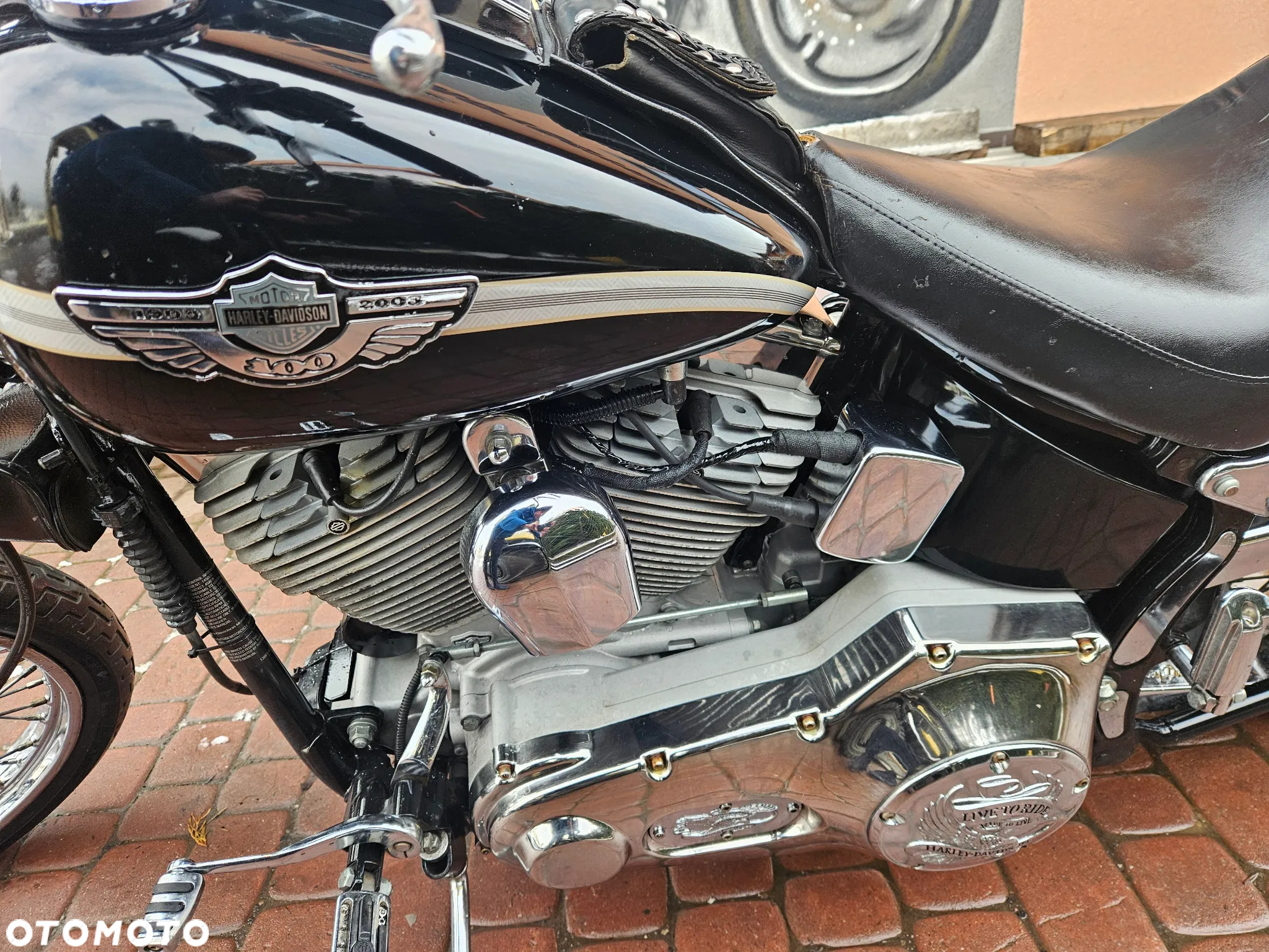 Harley-Davidson Softail Standard - 5