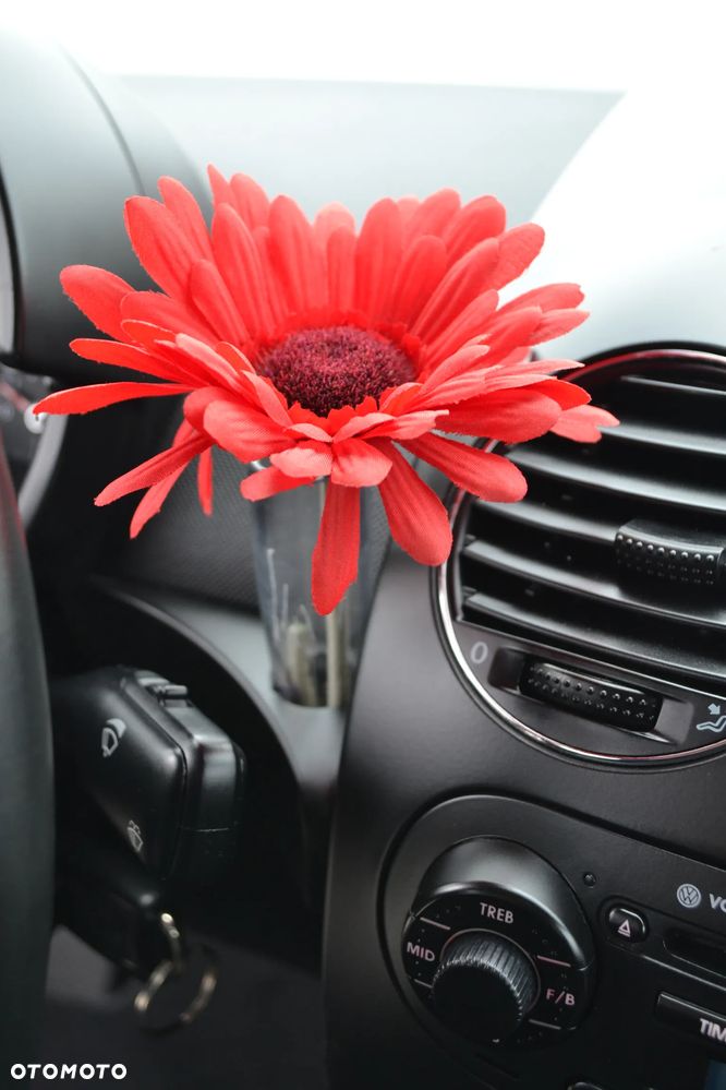 Volkswagen New Beetle - 8