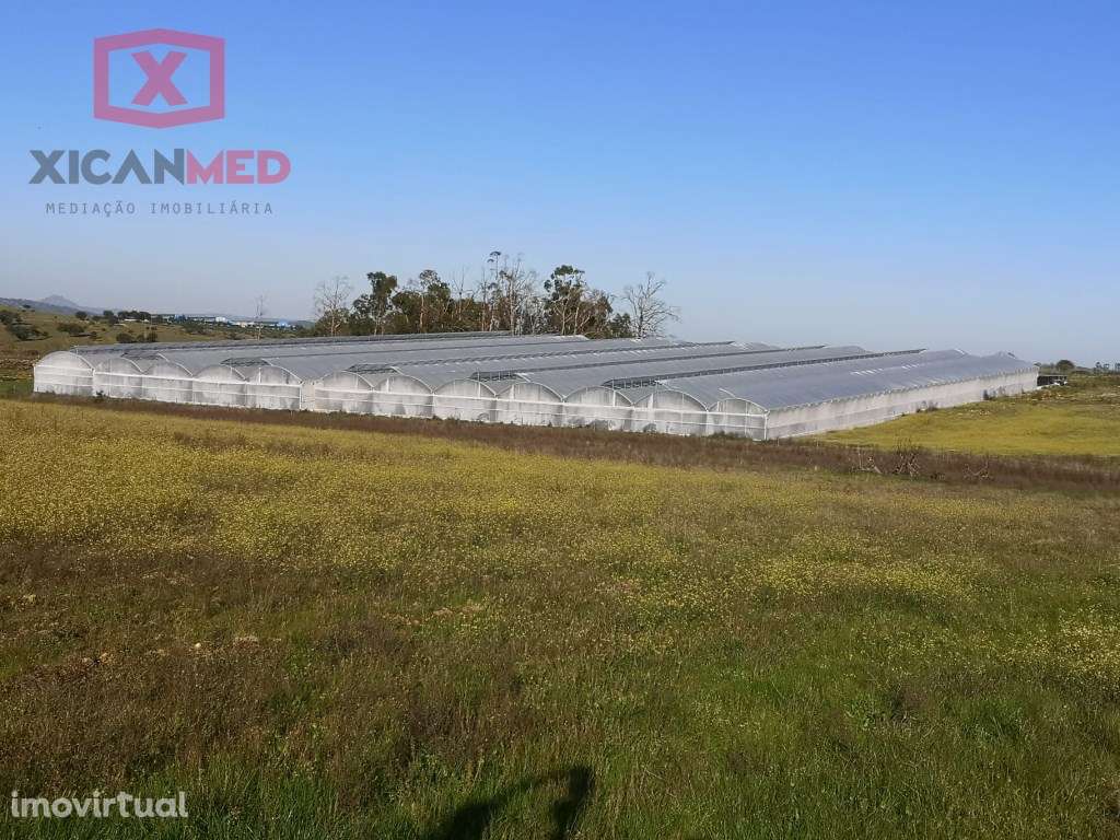 Quinta Agrícola - Grande imagem: 5/59