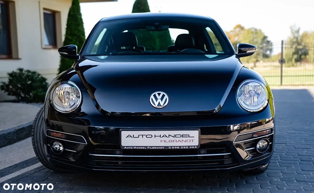 Volkswagen Beetle - 1