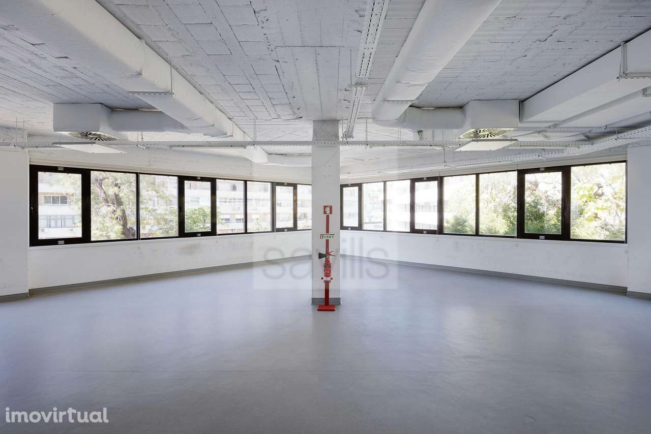 Ricardo Severo 3 - Grande imagem: 4/16