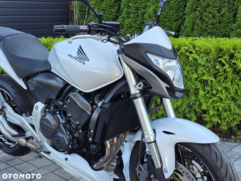 Honda Hornet - 5