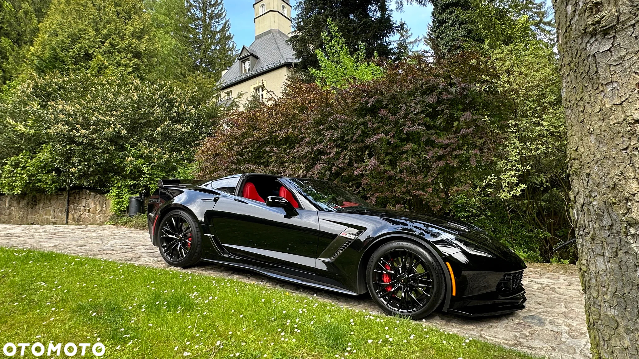Chevrolet Corvette - 13