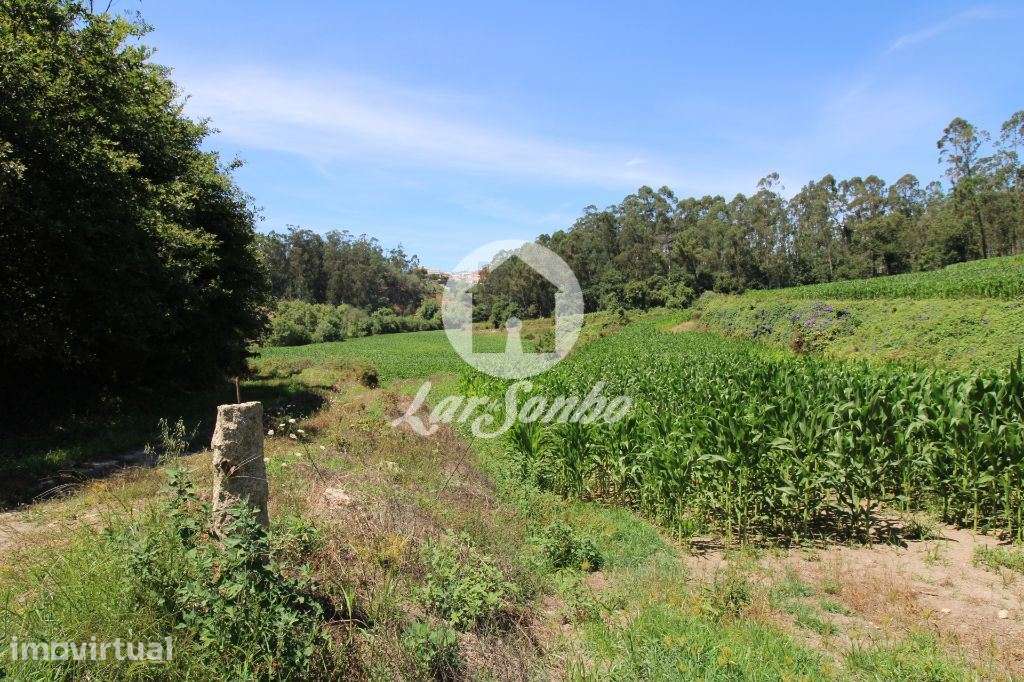 Terreno Agrícola c/21.000 m2 em Junqueira, Vila do Conde - Grande imagem: 2/6