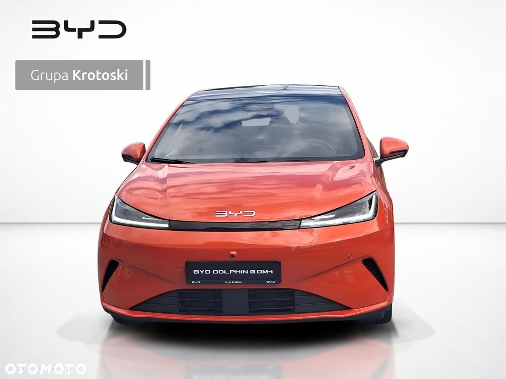 BYD Dolphin - 10