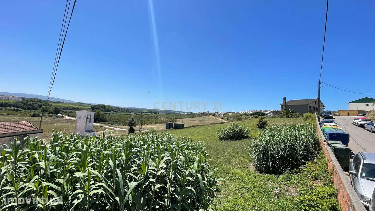 Terreno com 4480 m2 no Bombarral! - Grande imagem: 3/8