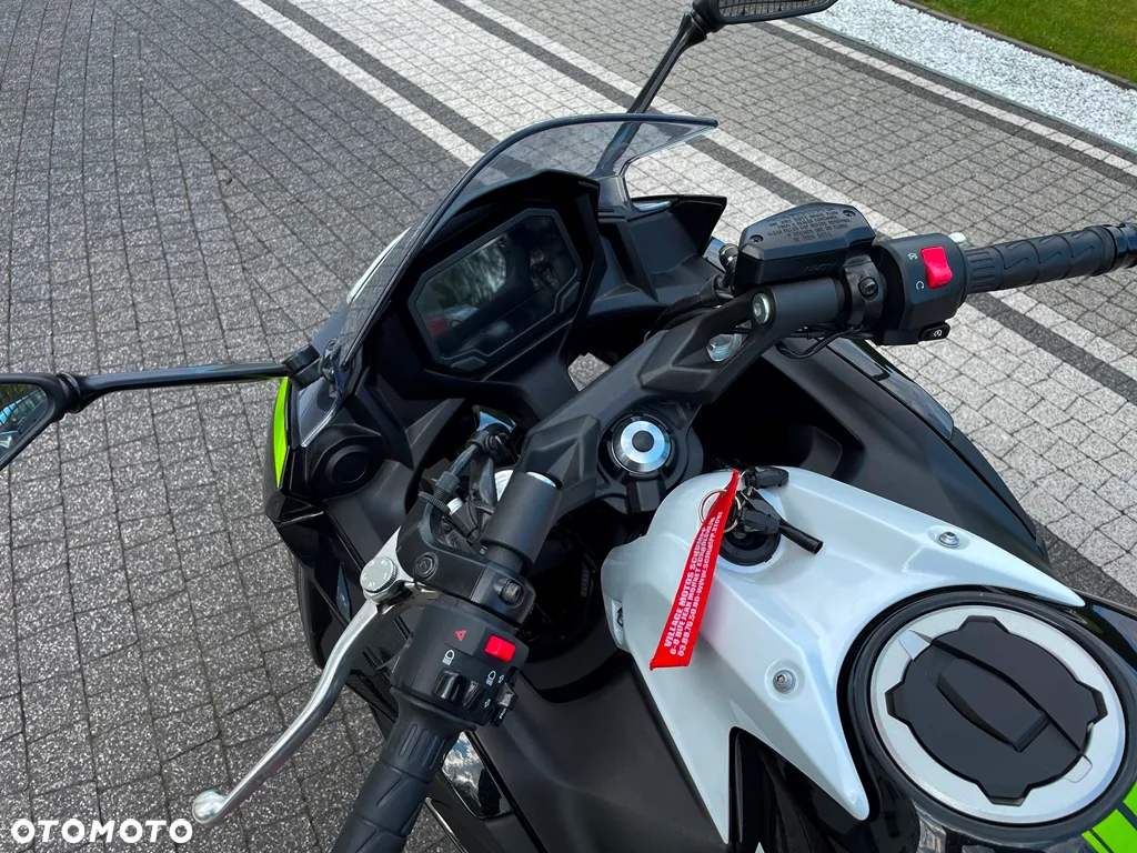 Kawasaki Ninja - 22