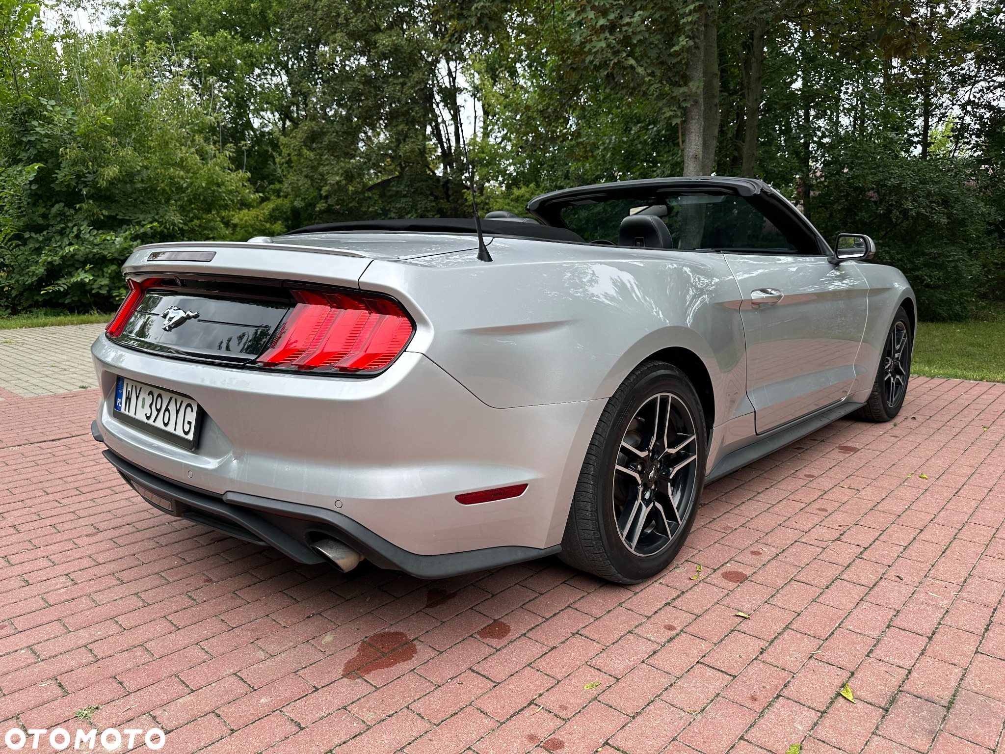 Ford Mustang 2.3 EcoBoost - 9