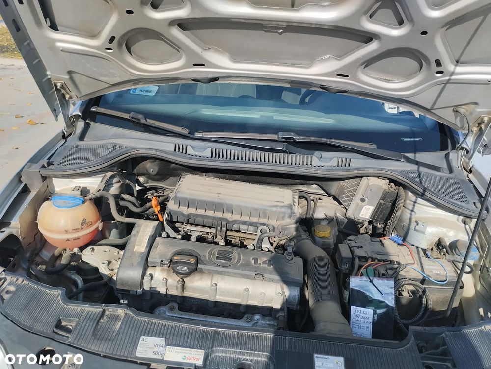 Seat Ibiza - 19