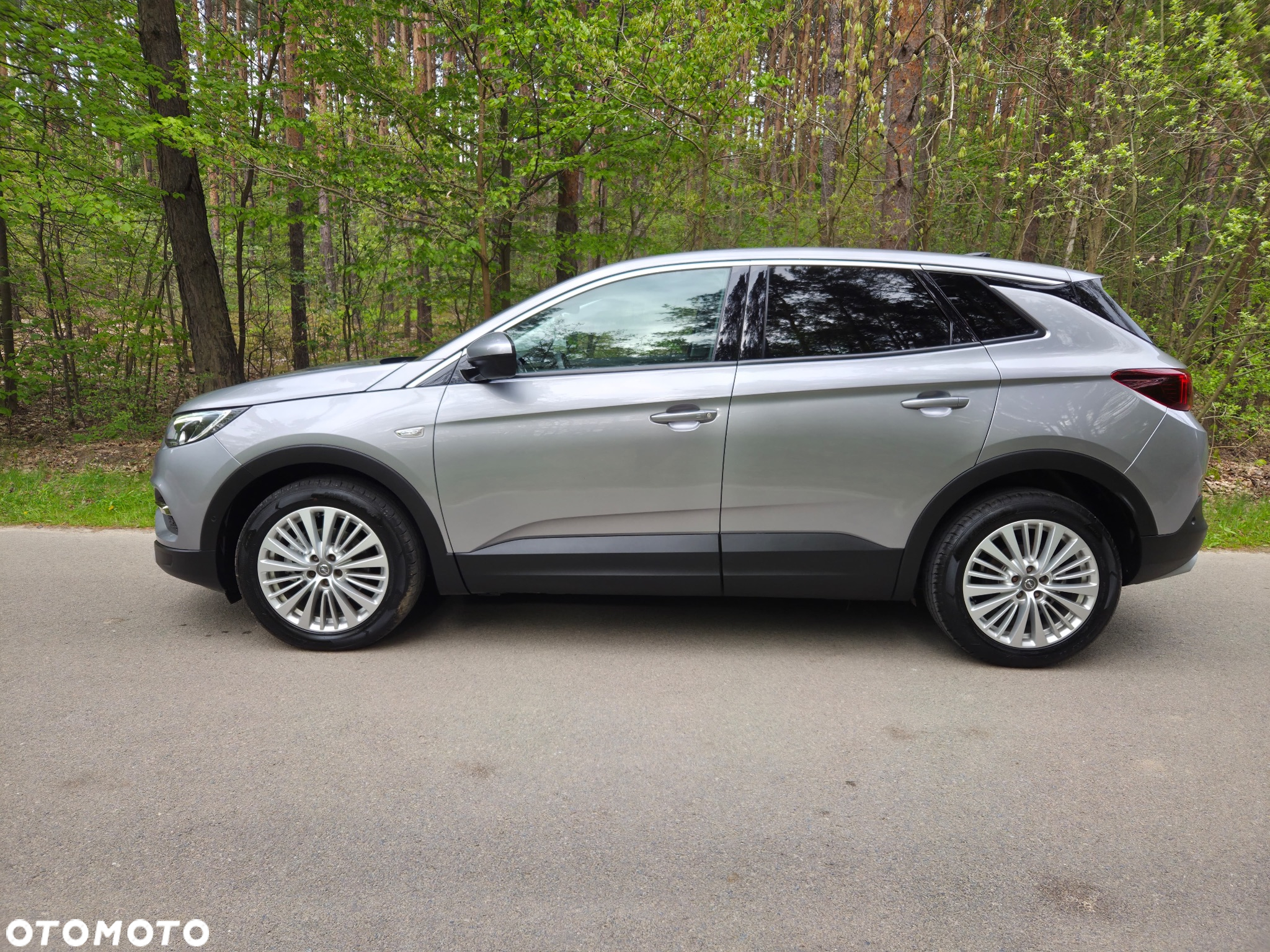 Opel Grandland X 1.6 CDTI Ultimate S&S - 10