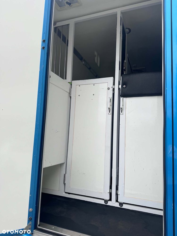 Renault Master - 13