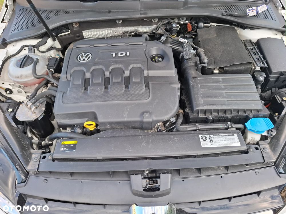 Volkswagen Golf - 24
