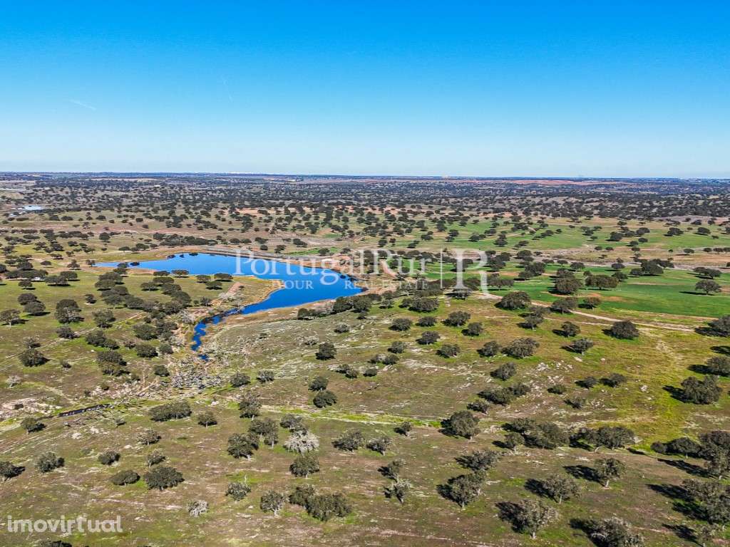 Herdade com 844 hectares - Ganadeira para pastagem e Engorda de Ani... - Grande imagem: 5/49