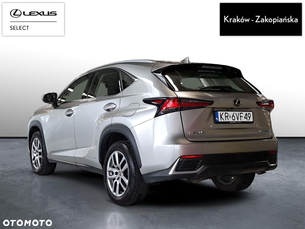 Lexus NX 300h Business Edition AWD - 8