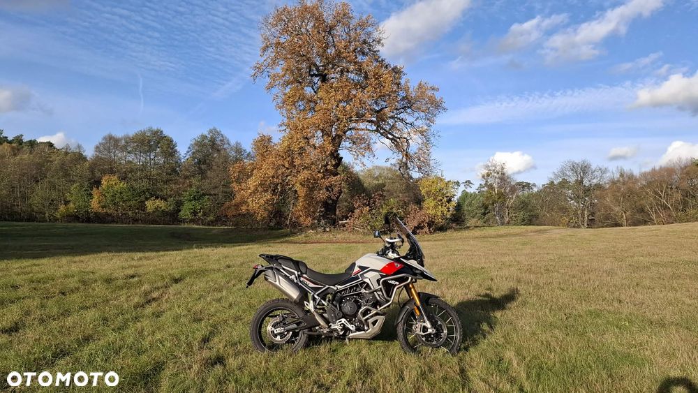 Triumph Tiger - 26