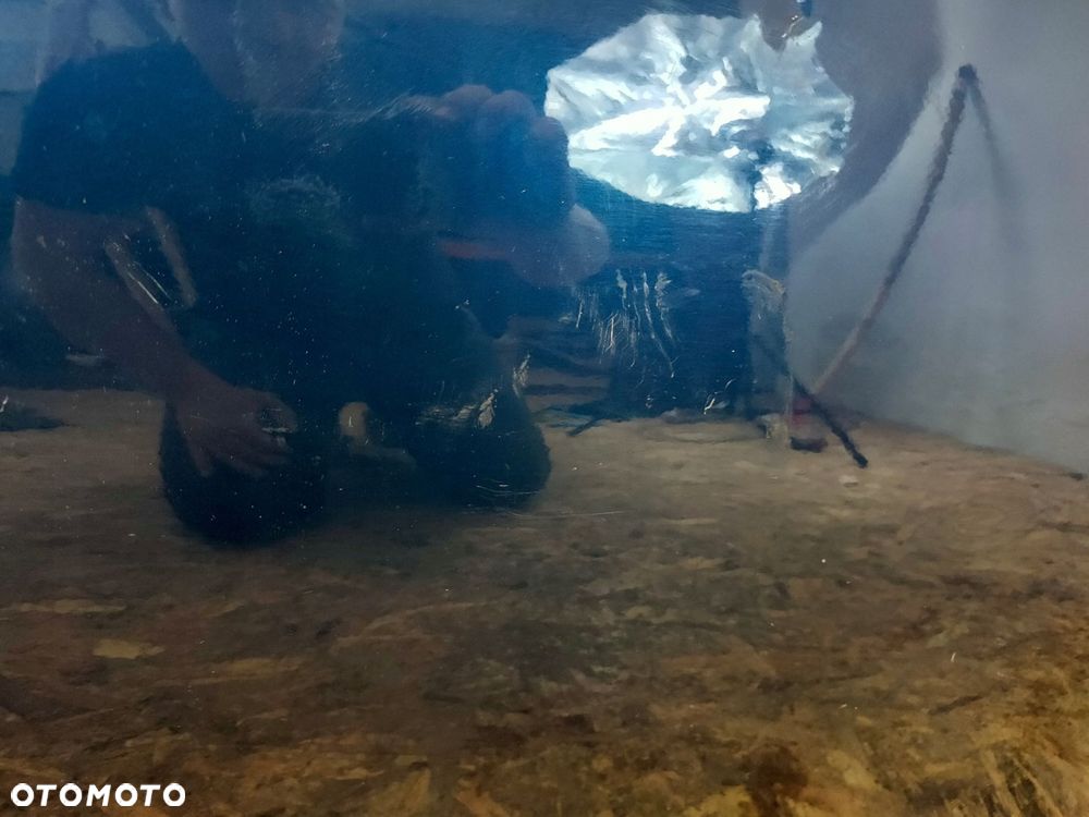 drzwi lewe przód bmw e60 mysticblau - 2