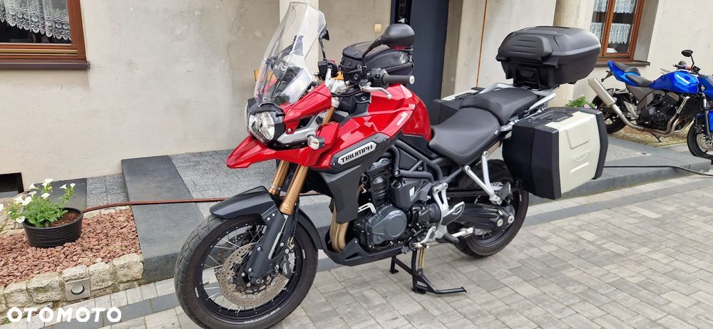 Triumph Tiger - 18