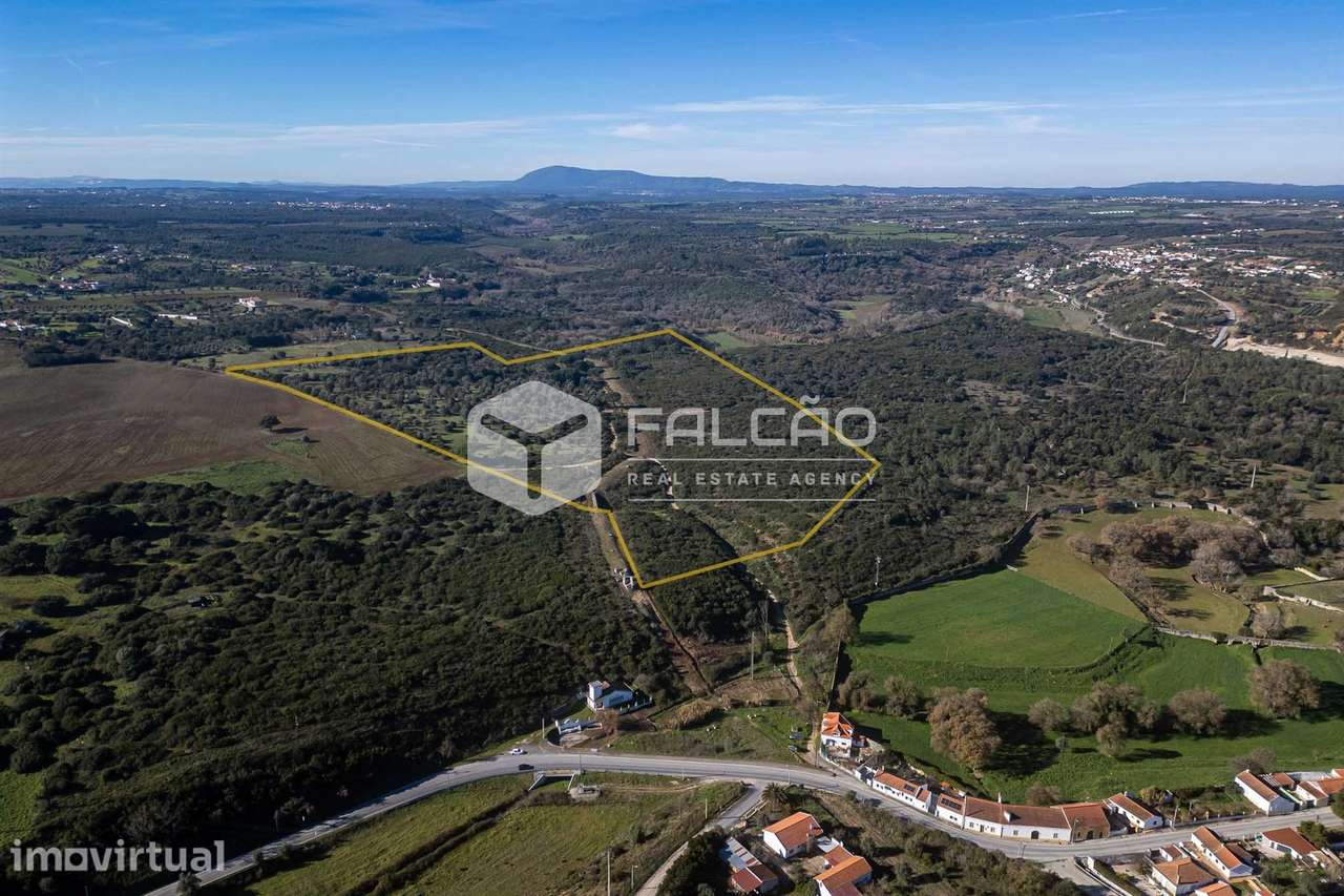Terreno  Venda em Almoster,Santarém - Grande imagem: 3/29