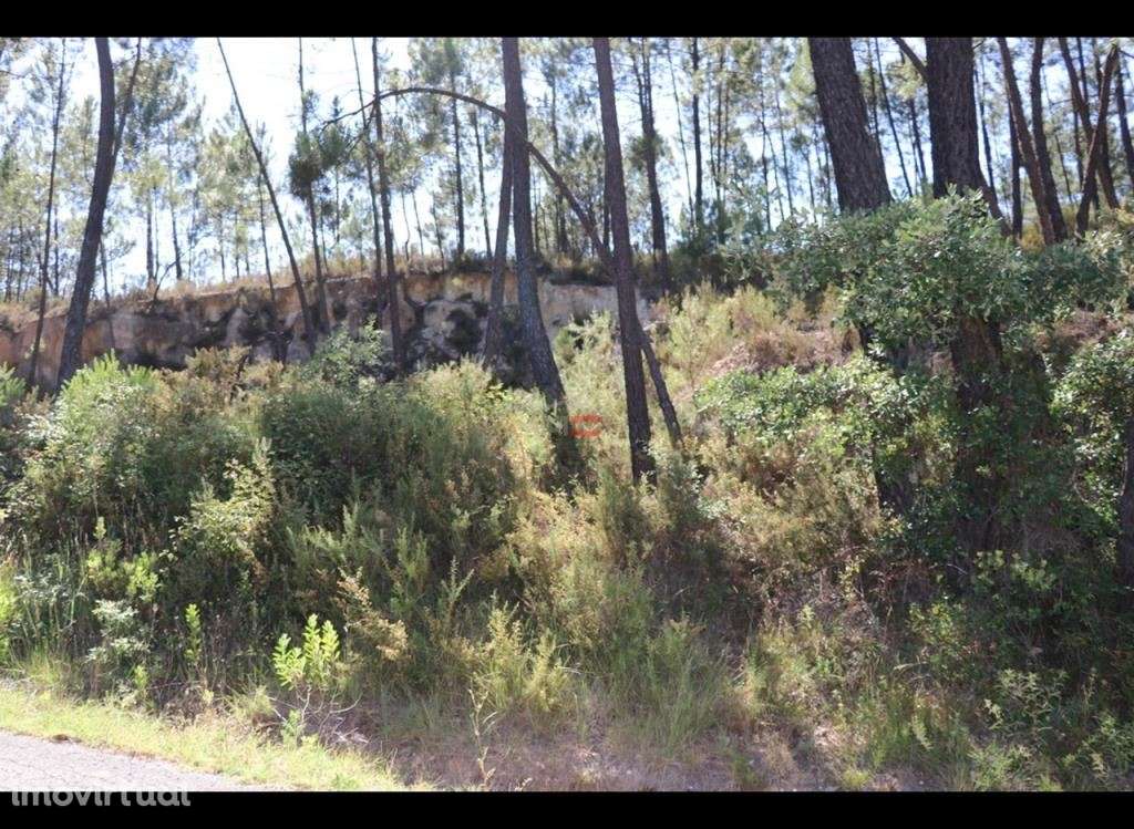 Terreno - Grande imagem: 2/10