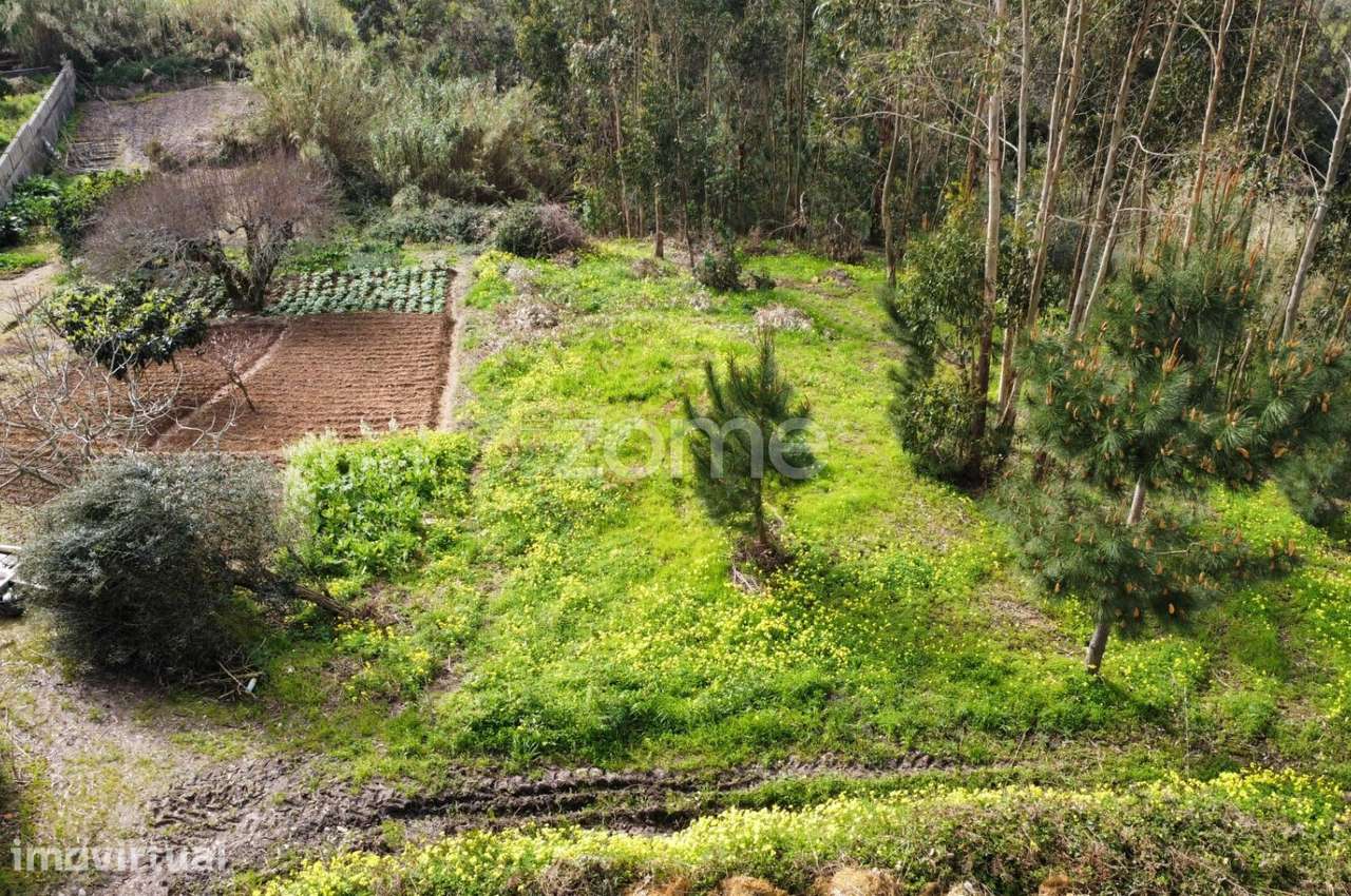 Investimento ou desenvolvimento de projeto rural, no Alqueidão - Grande imagem: 5/16