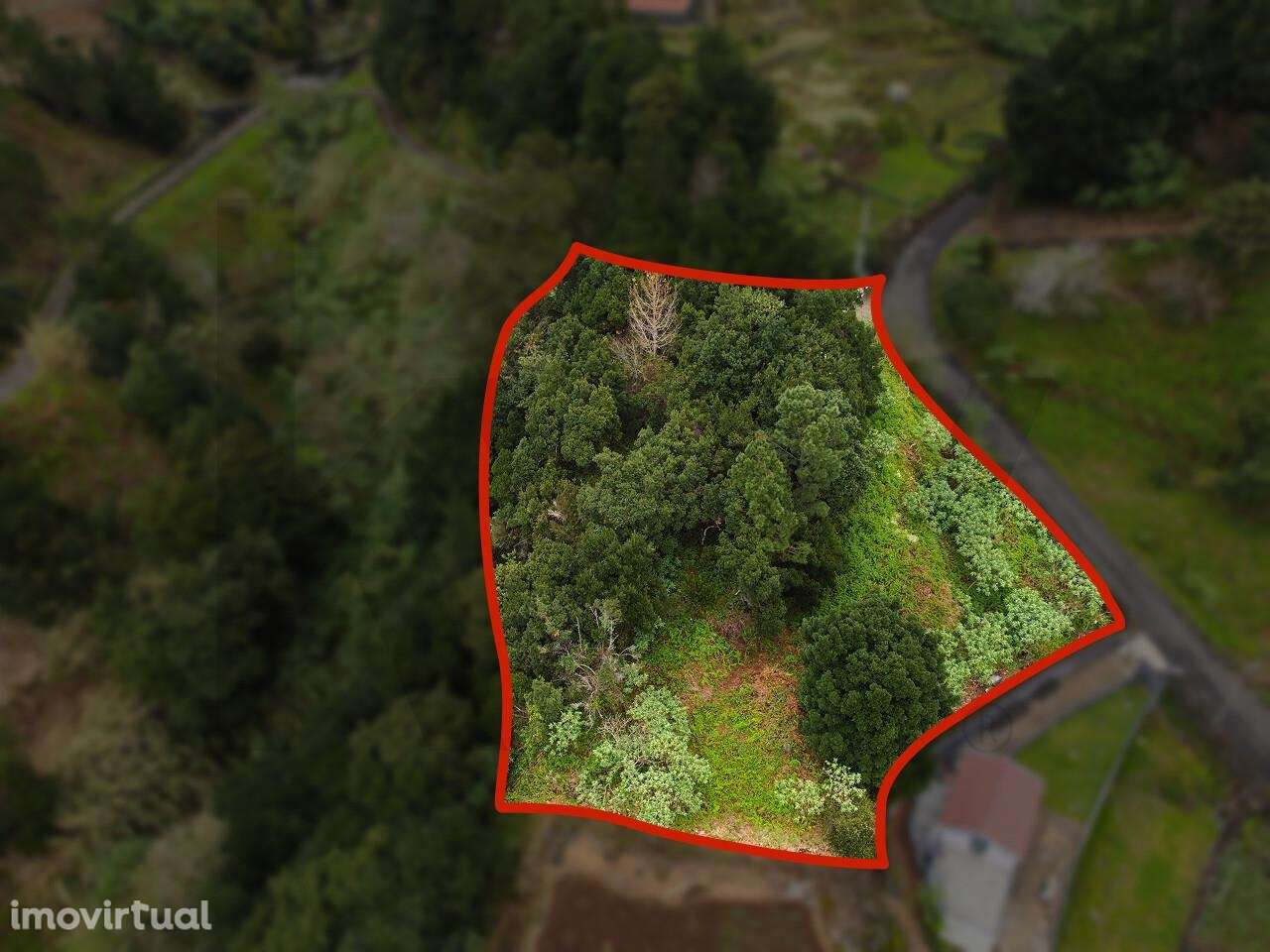 Terreno rústico com uma área de 2.302 m2 - Grande imagem: 2/15