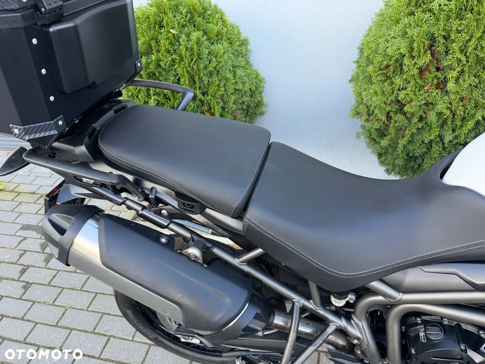 Triumph Tiger - 23